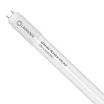 Ledvance Tube LED T8 Value (UN) High Output 18W 2000lm - 840 Blanc Froid | 120cm - Équivalent 36W